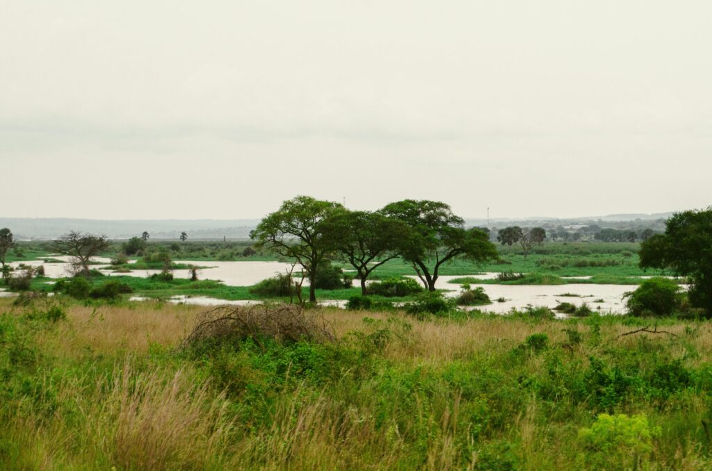 River Nile Tributary